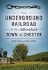 The Underground Railroad in the Adirondack Town of Chester (Paperback) - Donna Lagoy Photo