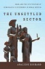 The Unsettled Sector - NGOs and the Cultivation of Democratic Citizenship in Rural Mexico (Paperback) - Analiese Richard Photo