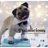 Pugalicious - Pug with a Passion for Food and Naps (Paperback) - Homer Pugalicious Photo