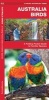 Australian Birds - A Folding Pocket Guide to Familiar Species (Pamphlet, First) - James Kavanagh Photo