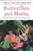 Butterflies and Moths (Paperback, Updated) - Robert T Mitchell Photo