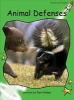 Animal Defenses (Paperback) - Pam Holden Photo