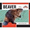 Beaver - Master Builder (Hardcover) - Paige V Polinsky Photo