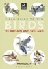 Field Guide to the Birds of Britain and Ireland (Paperback) - Mark Golley Photo