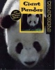 Giant Pandas (Paperback, New Ed) - Karen Dudley Photo