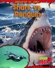 Shark vs. Penguin (Paperback) - Mary Meinking Photo