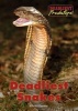 Deadliest Snakes (Hardcover) - Kris Hirschmann Photo