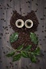 Adorable Coffee Bean and Coffee Cups Owl Art Journal - 150 Page Lined Notebook/Diary (Paperback) - Cs Creations Photo