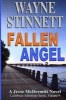 Fallen Angel - A Jesse McDermitt Novel (Paperback) - Wayne Stinnett Photo