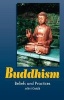 Buddhism - Beliefs and Practices (Paperback) - Merv Fowler Photo