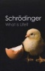 What is Life? - With Mind and Matter and Autobiographical Sketches (Paperback, New) - Erwin Schrodinger Photo