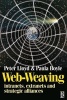 Web-weaving - Intranets, Extranets and Strategic Alliances (Paperback) - Peter Lloyd Photo