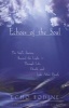 Echoes of the Soul - Moving Beyond the Light (Paperback, Reissue) - Echo Bodine Photo