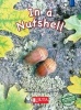 In a nutshell, Higher level - blue - Gr 2 (Paperback) -  Photo