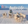 Arctic Life - Band 04/Blue (Paperback) - Sean Callery Photo