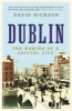 Dublin - The Making of a Capital City (Paperback, Main) - David Dickson Photo