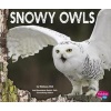 Snowy Owls (Hardcover) - Melissa Hill Photo