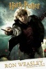 Ron Weasley (Hardcover) - Scholastic Photo