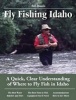 Fly Fishing Idaho - A Quick, Clear Understanding of Where to Fly Fish in Idaho (Paperback, 2nd) - Bill Mason Photo