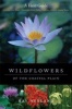 Wildflowers of the Coastal Plain - A Field Guide (Paperback) - Ray Neyland Photo