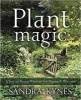 Plant Magic - A Year of Green Wisdom for Pagans and Wiccans (Paperback) - Sandra Kynes Photo