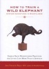 How to Train A Wild Elephant - And Other Adventures in Mindfulness (Paperback) - Jan Chozen Bays Photo