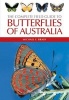 Complete Field Guide to the Butterflies of Australia (Paperback) - Michael F Braby Photo