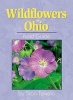 Wildflowers of Ohio Field Guide (Paperback) - Stan Tekiela Photo