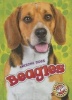 Beagles (Hardcover) - Mari C Schuh Photo