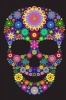 A Psychedelic Flower Skull Journal - 150 Page Lined Notebook/Diary (Paperback) - Cs Creations Photo