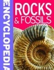 Rocks & Fossils (Paperback) - Belinda Gallagher Photo