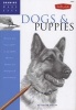 Dogs and Puppies - Discover Your Inner Artist as You Explore the Basic Theories and Techniques of Pencil Drawing (Paperback) - Stacey Nolon Photo