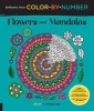 Brilliantly Vivid Color by Number: Flowers and Mandalas - Guided Coloring for Creative Relaxation-30 Original Designs + 4 Full-Color Bonus Prints- Easy Tear-Out Pages for Framing (Paperback) - F Sehnaz Bac Photo