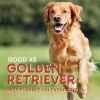 Good as Golden Retriever - Daily Planner Calendar 2017 (Paperback) - Kalendar Press Photo