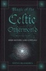 Magic of the Celtic Otherworld - Irish History, Lore and Rituals (Paperback) - Steve Blamires Photo