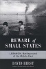 Beware of Small States - Lebanon, Battleground of the Middle East (Paperback, First Trade Paper Edition) - David Hirst Photo