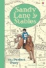 Sandy Lane Stables the Perfect Pony (Hardcover) - Michelle Bates Photo