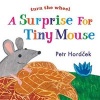 A Surprise for Tiny Mouse (Board book) - Petr Horacek Photo