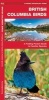 British Columbia Birds - A Folding Pocket Guide to Familiar Species (Pamphlet, 2nd Revised edition) - James Kavanagh Photo