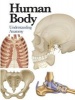 Human Body - Understanding Anatomy (Paperback) - Jane De Burgh Photo