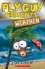 Fly Guy Presents: Weather (Paperback) - Tedd Arnold Photo