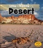 Living and Nonliving in the Desert (Paperback) - Rebecca Rissman Photo