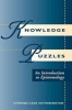 Knowledge Puzzles - An Introduction to Epistemology (Paperback) - Stephen Cade Hetherington Photo