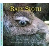 Baby Sloth (Paperback) - Aubrey Lang Photo