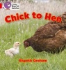 Chick to Hen - Band 02A/Red A (Paperback) - Elspeth Graham Photo