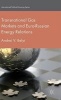 Transnational Gas Markets and Euro-Russian Energy Relations 2015 (Hardcover) - Andrei V Belyi Photo