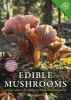 Edible Mushrooms - A Forager's Guide to the Wild Fungi of Britain and Europe (Paperback) - Geoff Dann Photo