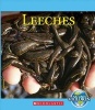 Leeches (Paperback) - Katie Marsico Photo