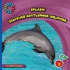 Discover Bottlenose Dolphins (Hardcover) - Virginia Loh Hagan Photo