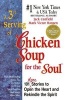 A 3rd Serving of Chicken Soup for the Soul - 101 More Stories to Open the Heart and Rekindle the Spirit (Paperback, Original) - Jack Canfield Photo